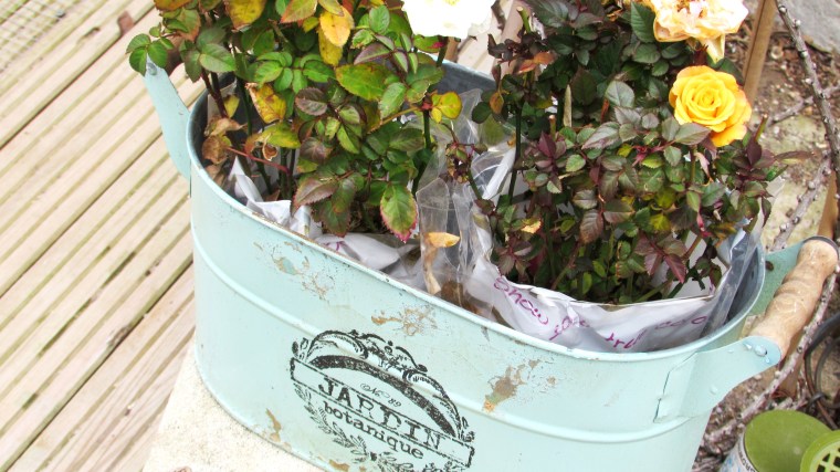 Vintage Flower Pot